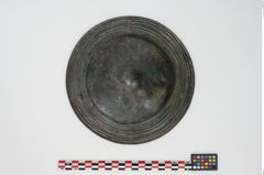 Foto von Bronzephalere (NHMW-PRAE-025544a)
